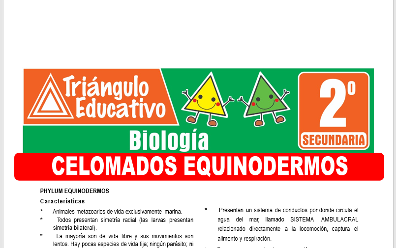 Ficha de Celomados Equinodermos para Segundo Grado de Secundaria