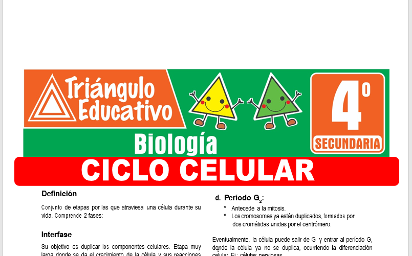 Ficha de Ciclo Celular para Cuarto Grado de Secundaria