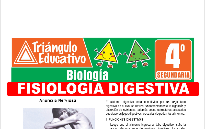 Ficha de Fisiología Digestiva para Cuarto Grado de Secundaria