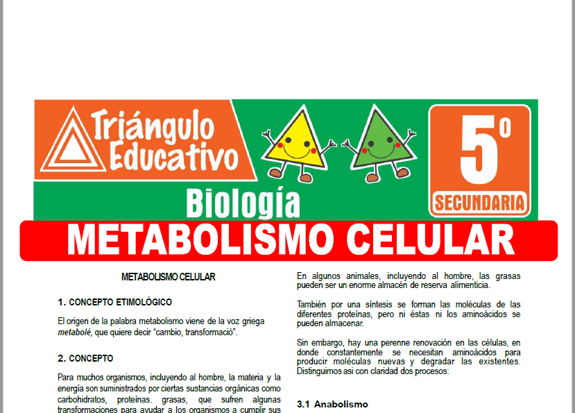 Ficha de Metabolismo Celular para Quinto Grado de Secundaria