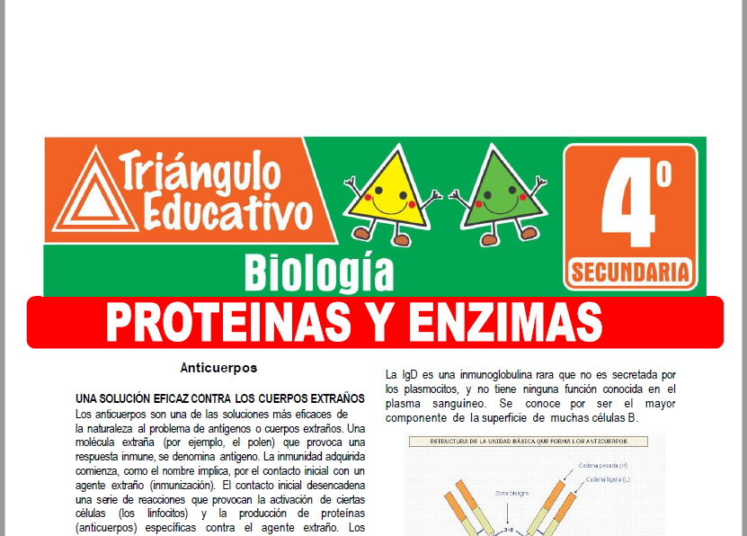 Ficha de Proteínas y Enzimas para Cuarto Grado de Secundaria