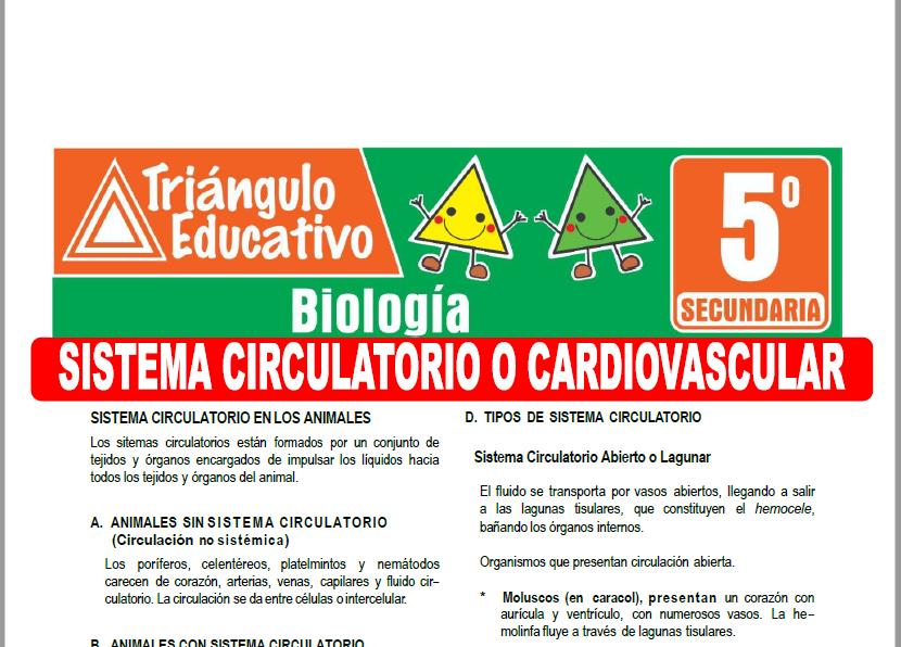 Ficha de Sistema Circulatorio o Cardiovascular para Quinto Grado de Secundaria